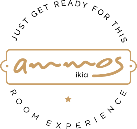 ammos room experience